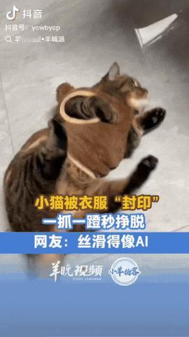 北京，一女子给小猫买了一件衣服，没想到给它穿上后，小猫很不喜欢，好像被衣服“封印