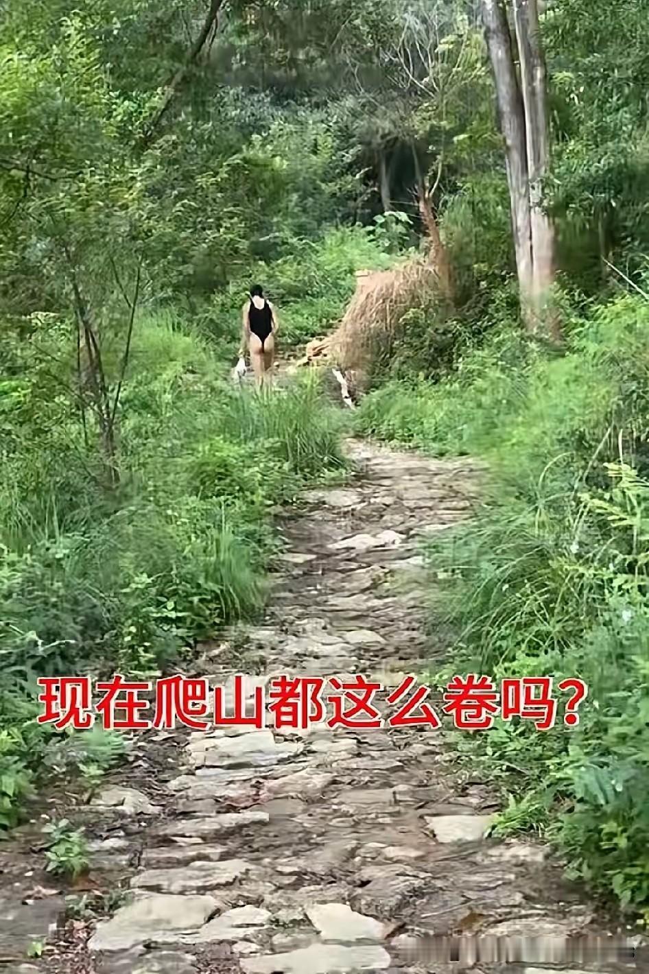 我肯定这个女的爬山不会失联的。深山失联 爬山女生 禄劝失联女孩 大学生爬山失踪 