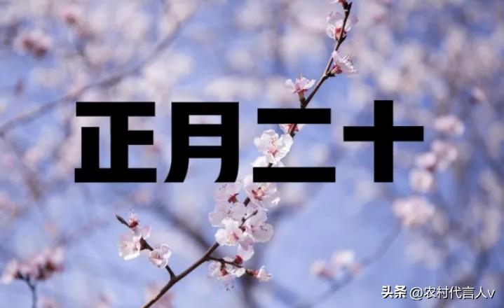 今日正月二十，老人说最怕“正月二十雨”，下雨有啥好怕的？看农谚怎么说的。
 
“
