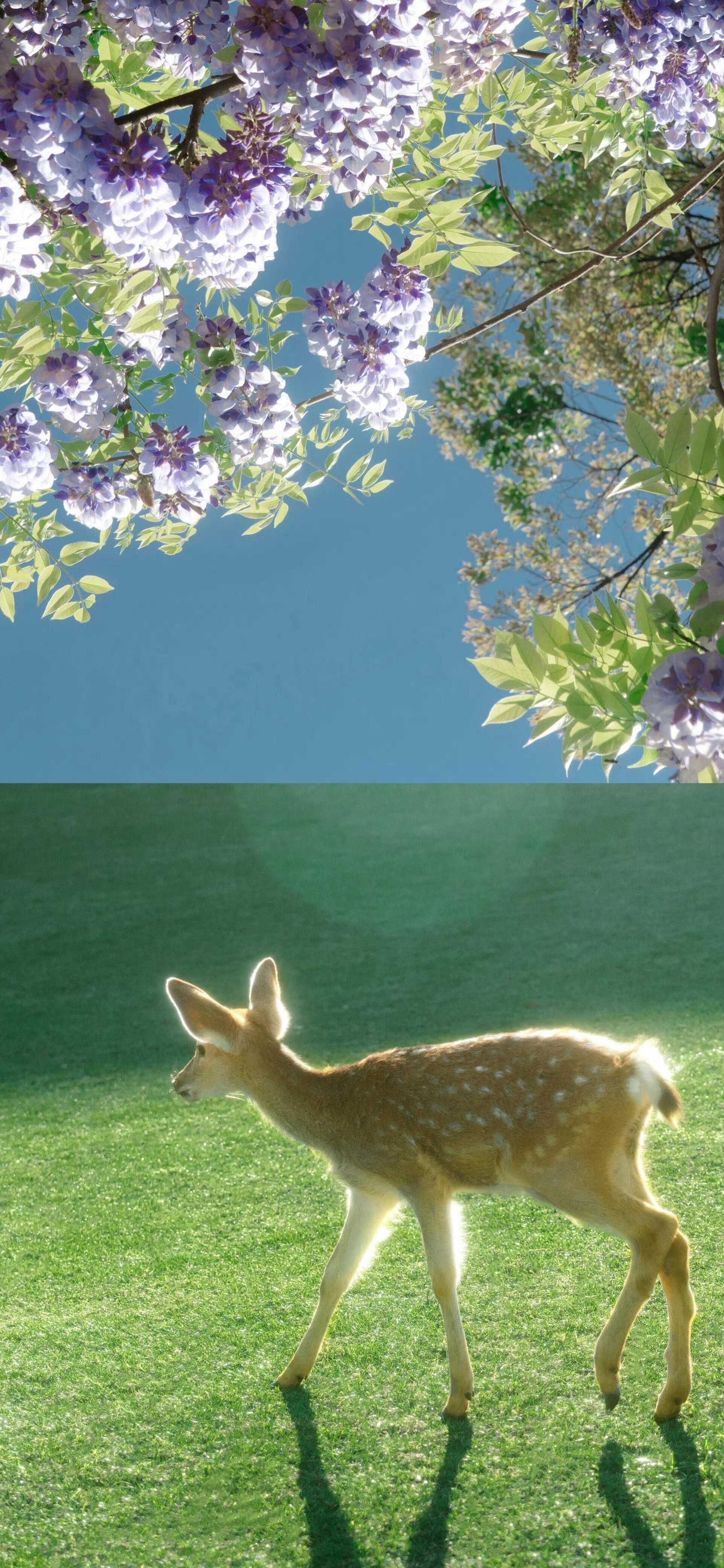 0000 晚安懂得感恩，是收获幸福的源泉懂得感恩，你会发现原来自己周围的⼀切都是