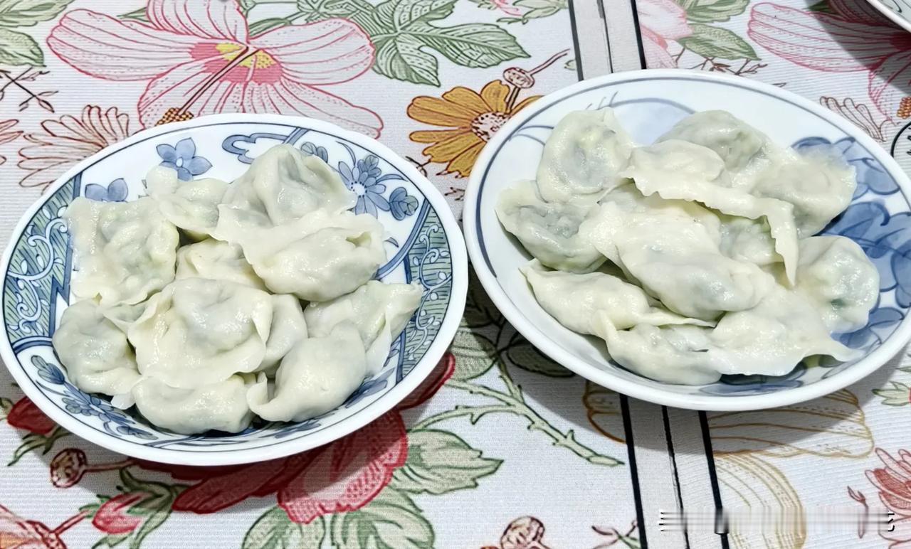 晚上好，中午吃的牛排炖白菜，感觉有点腻，晚上包的韭菜，鸡蛋，虾仁，三鲜馅饺子，有