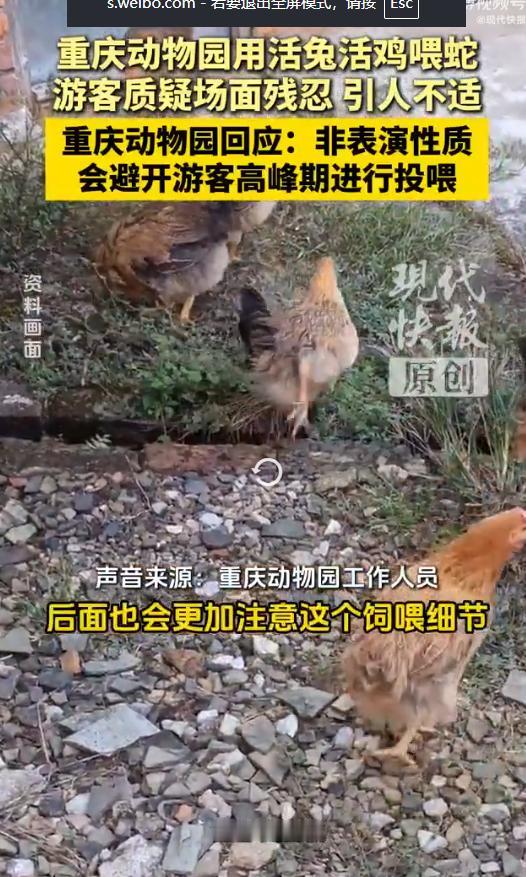 “吃饱了撑的！”重庆，一位游客带着孩子前去重庆动物园打卡，却在两栖爬行动物馆内，