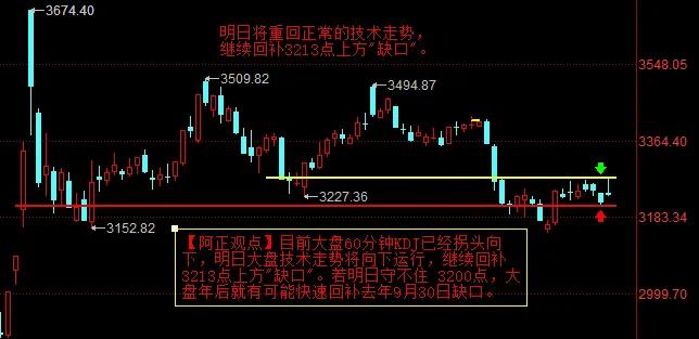 【1月23日A股收评：明日大盘将继续向下补缺】

        今日盘面上热点