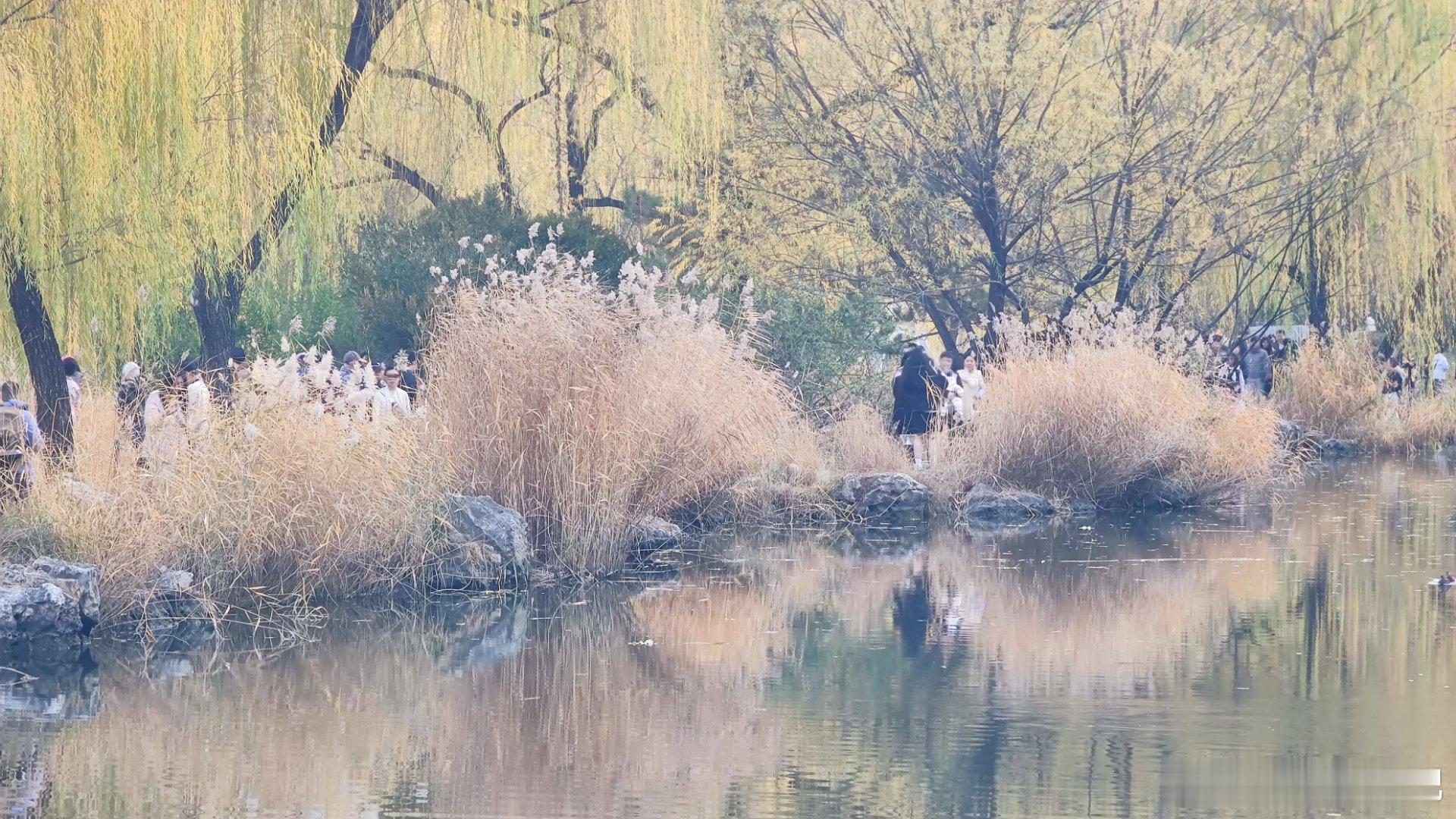  北京初冬，紫竹院公园随拍北京你好 摄影