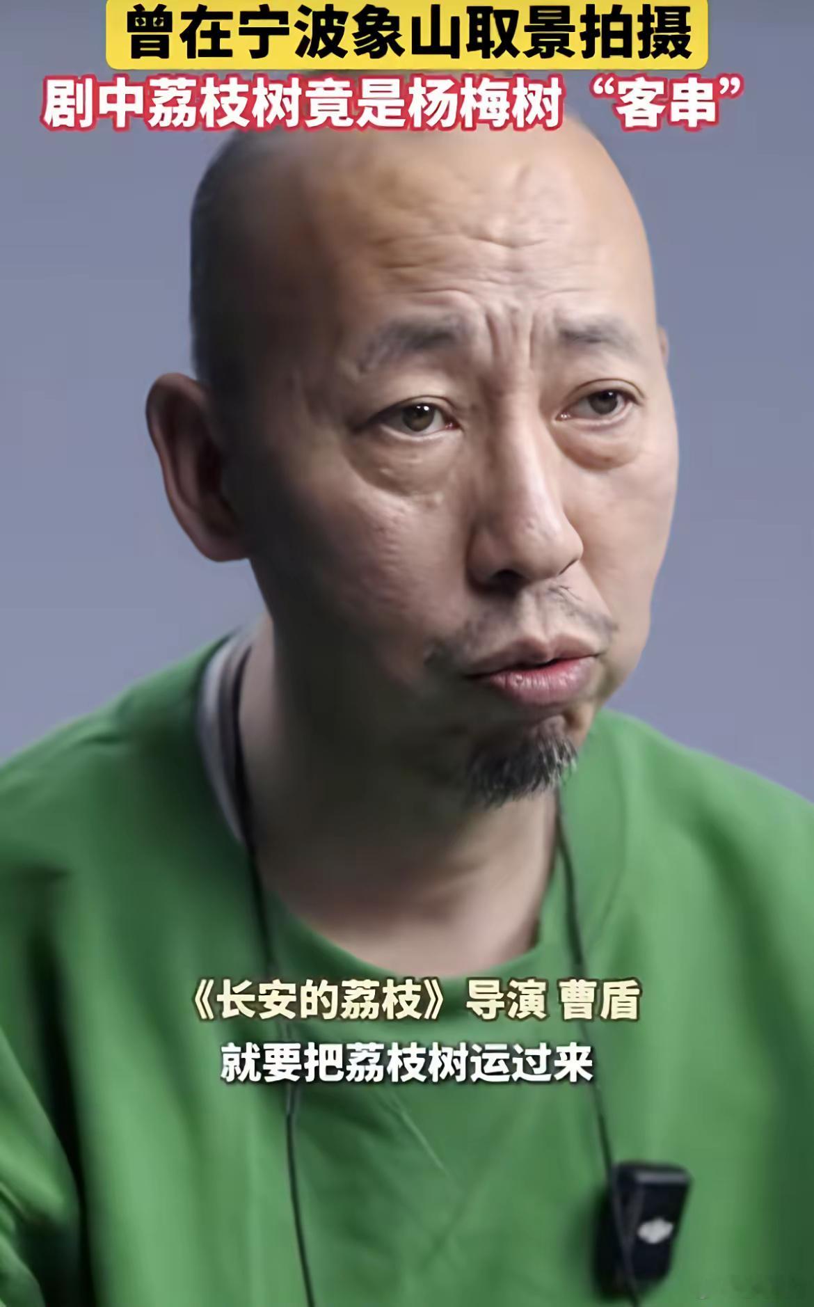 《长安的荔枝》又出问题了！导演曹盾亲自承认，如果要拍荔枝树，就需要将荔枝树运到拍