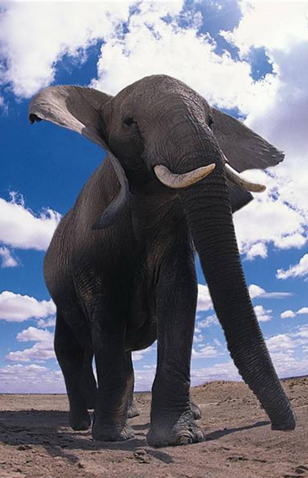 有钱人的游戏，结果狩猎者被猎物反杀。

这事发生在非洲一个叫加蓬的国家，一名美国