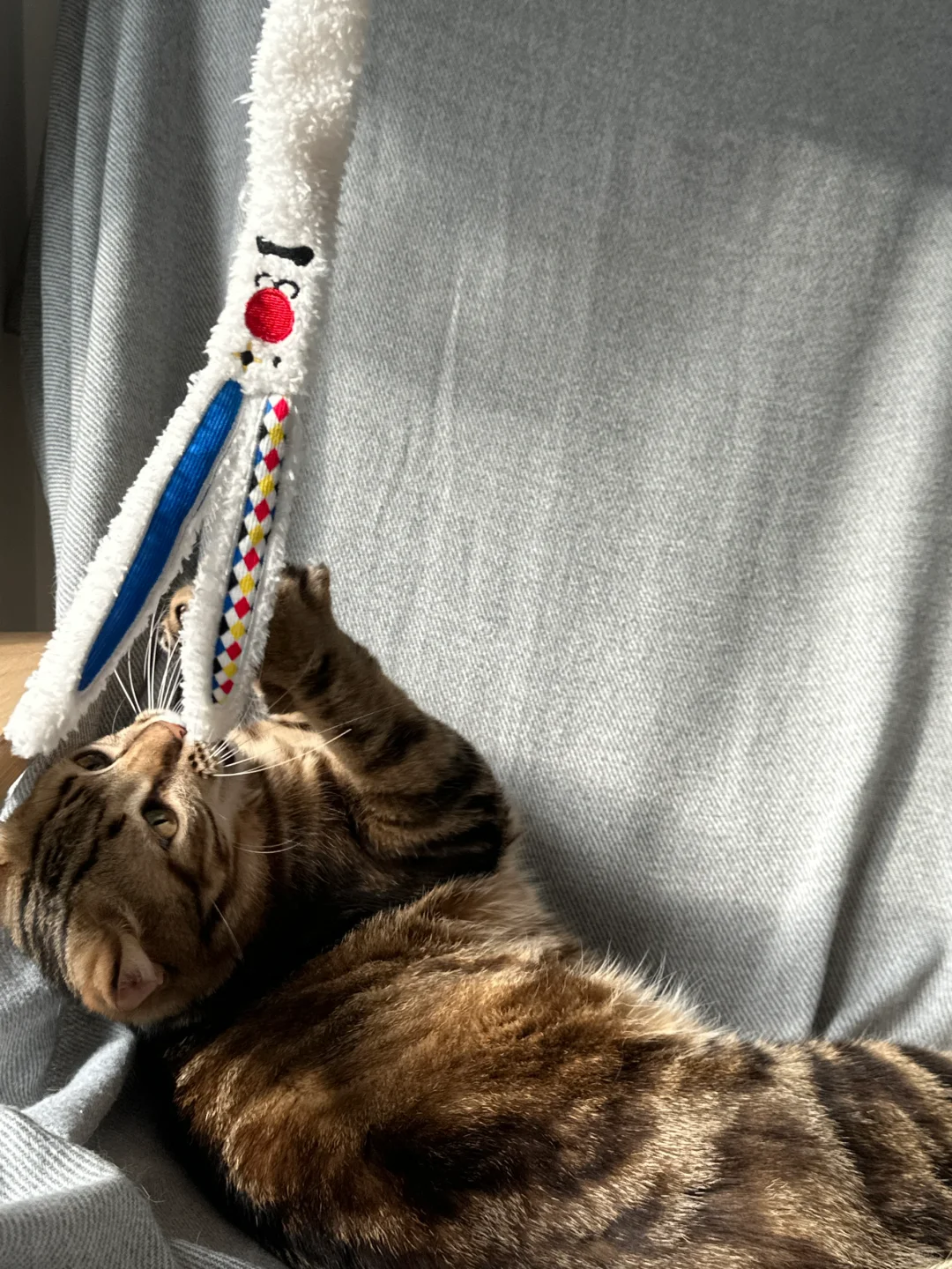 是哪个小猫拥有这么可爱的逗猫棒！