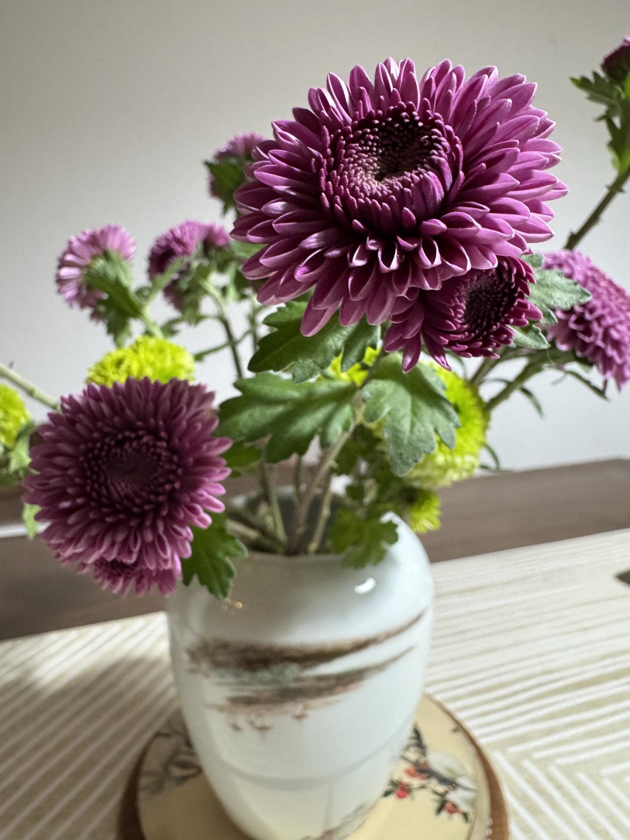 随手拍下的花菊花