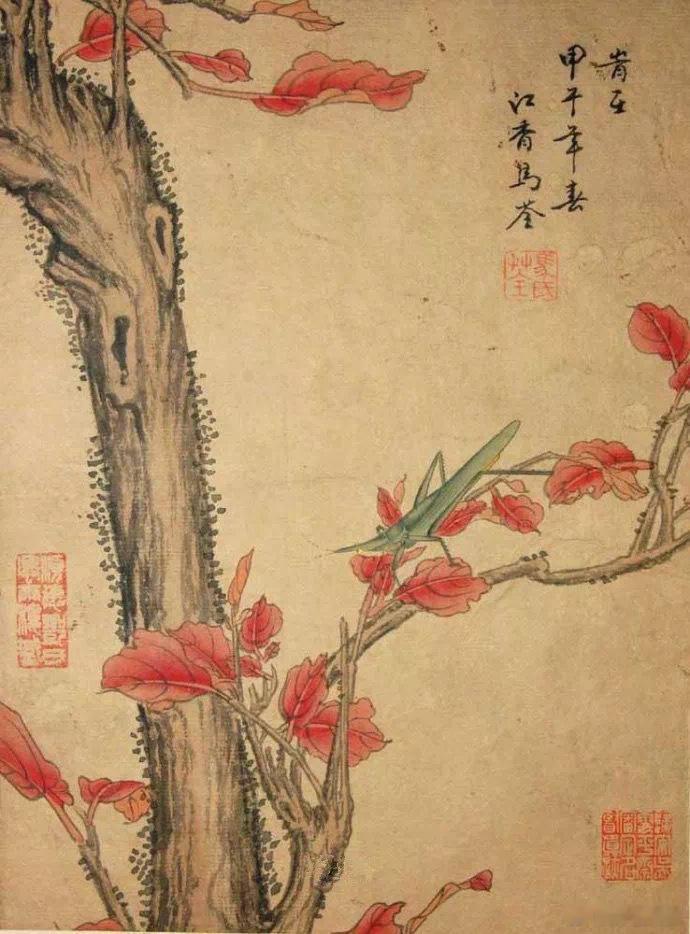 马荃（二） ​​​