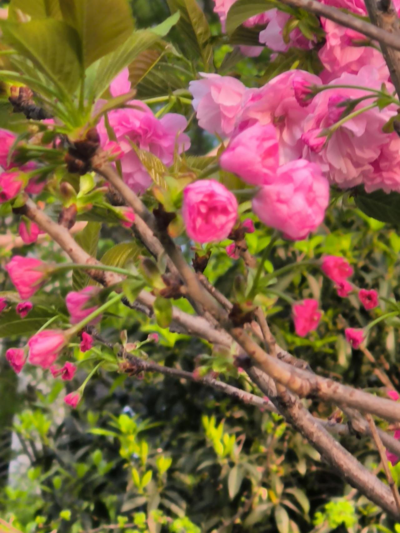 都说二婚难得有真心，都是各自算计，以前我还不信，直到亲眼看见我同学的二婚经历，才