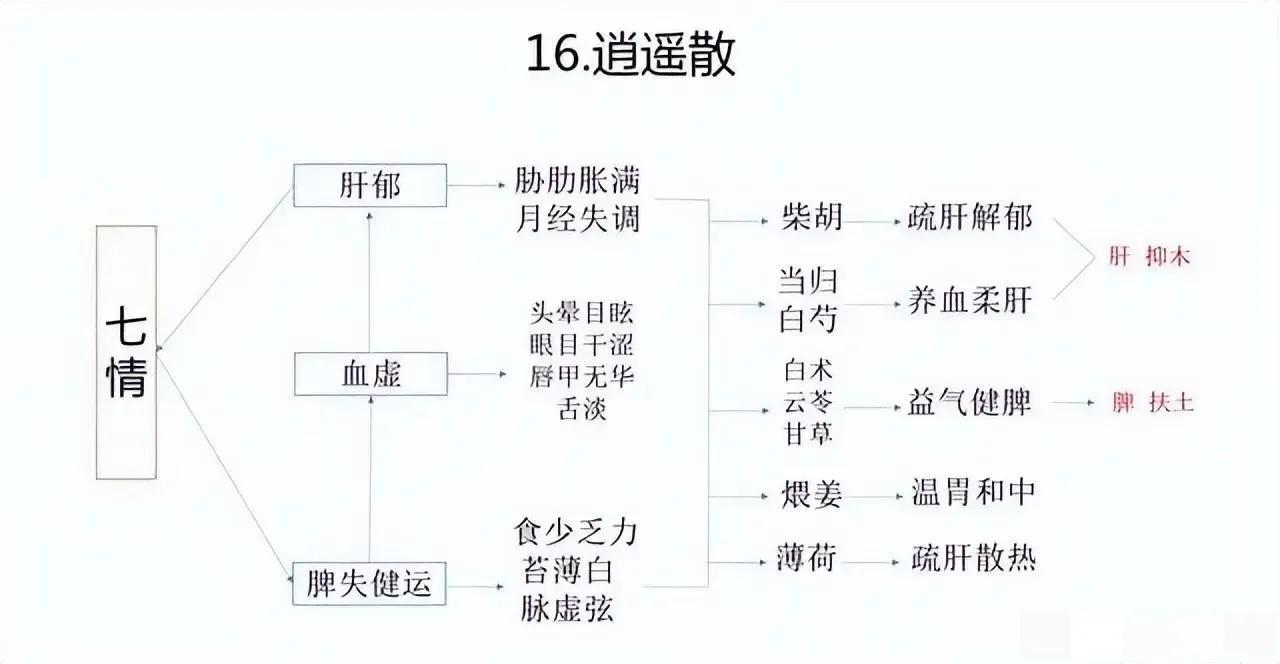 中药方剂是中医学习的重中之重，但对于初学者来说，繁杂的知识点确实是个不小的挑战。