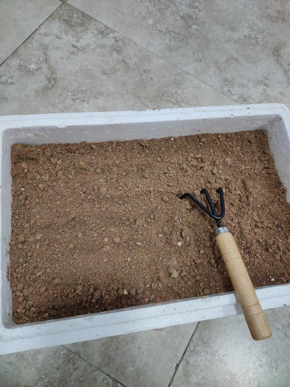 别再用园土直接种菜了！越种越板结，越种越不长！
 
很多新手一上来就挖黄土、园土
