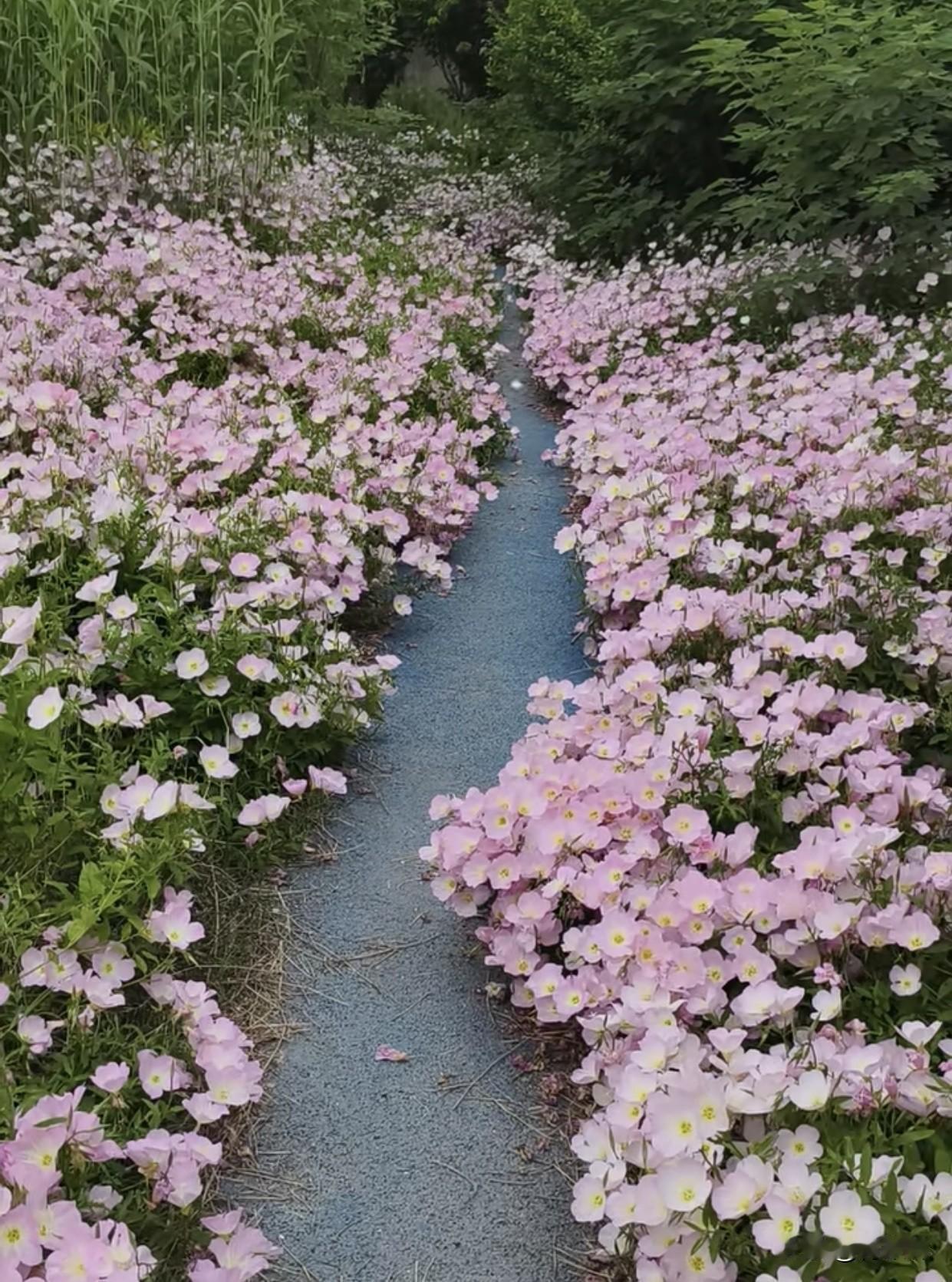 真心话茶局幸福本来就是一路繁花。一个人走路，有温柔绵长的思念；两个人相伴，有满心