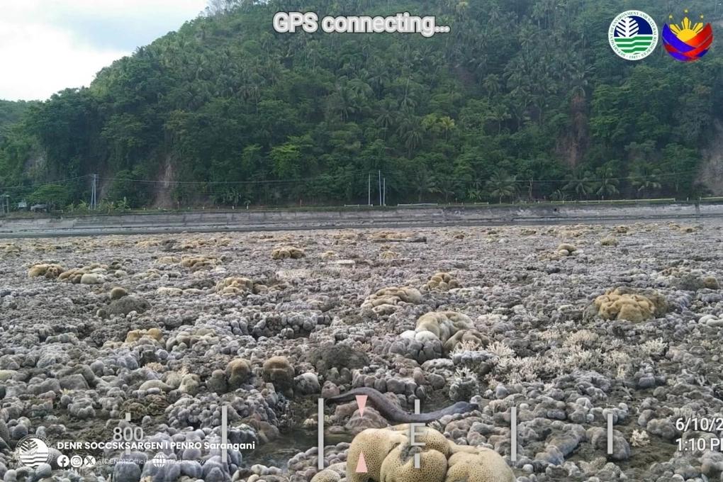 菲律宾发生7.8级地震，导致海底抬升约2米，珊瑚礁露出水面，居民担心会有健康安全