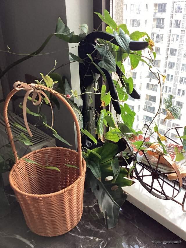 中医是另一种科学范式