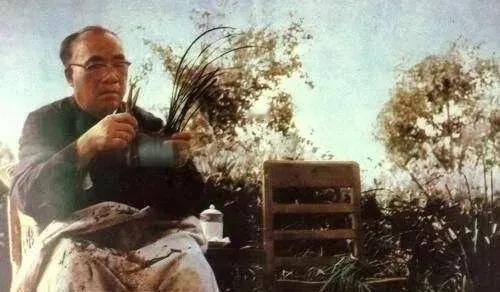 1929年，朱德被敌人包围，伍若兰挺身而出，喊道：“我是朱德的妻子。”敌人呼啦把