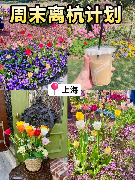 周末离杭计划（8/50）中山公园🌷申请出战❗️