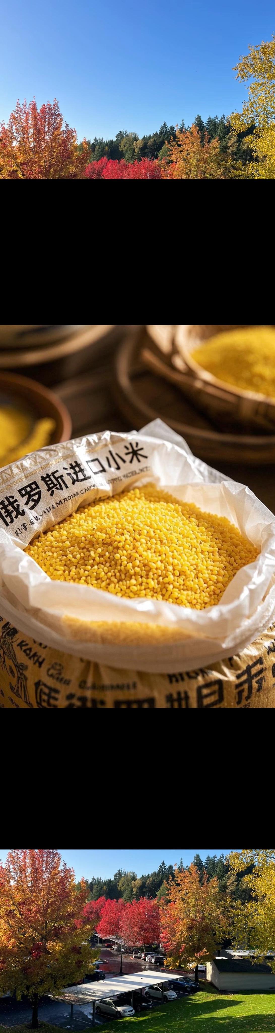 俄罗斯进口小米。家人们！咱都知道好米才能熬出好粥，这话可太对了!这款俄...