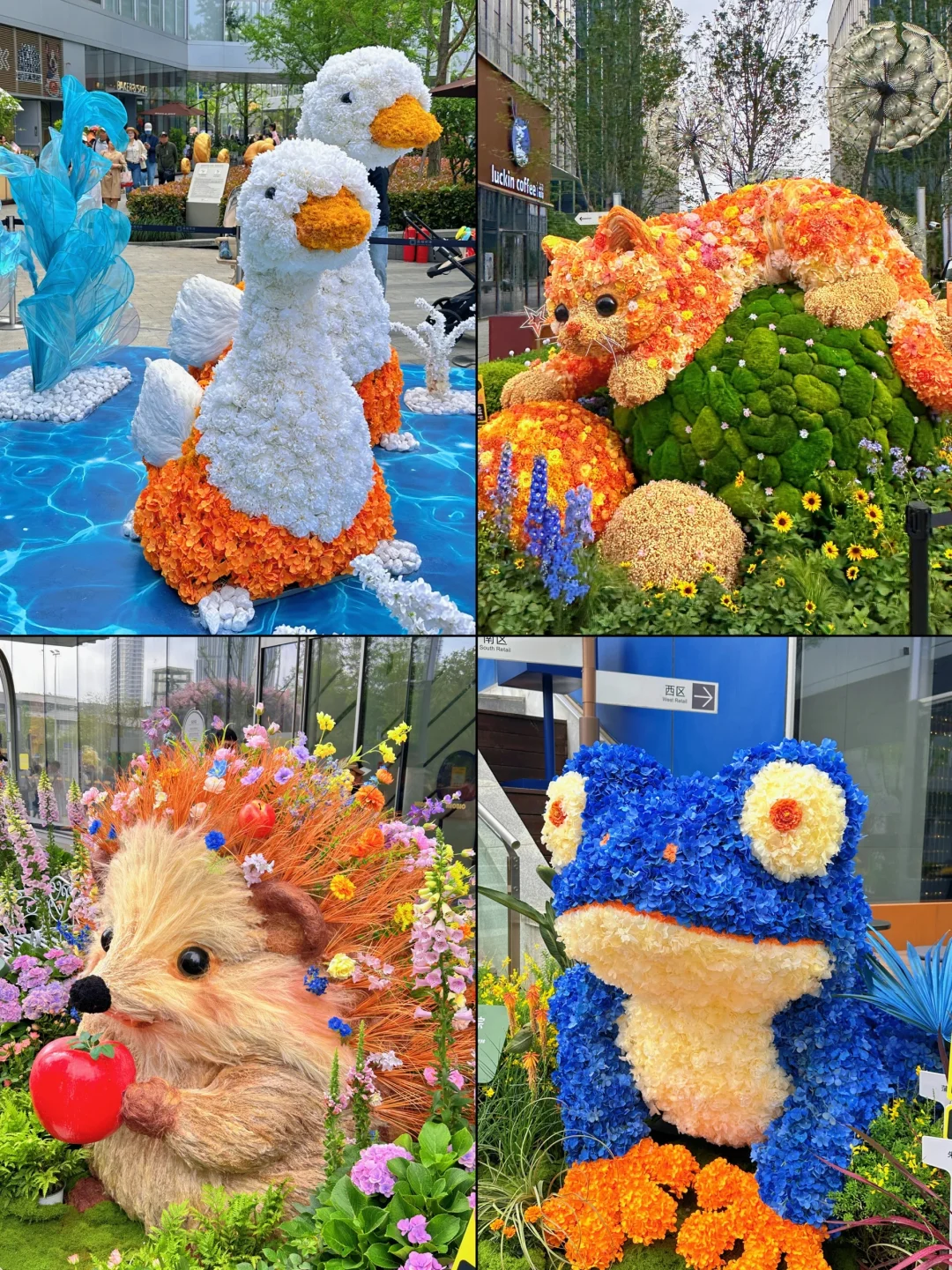 4.18前滩｜上海春天最美街头免费花海秘境