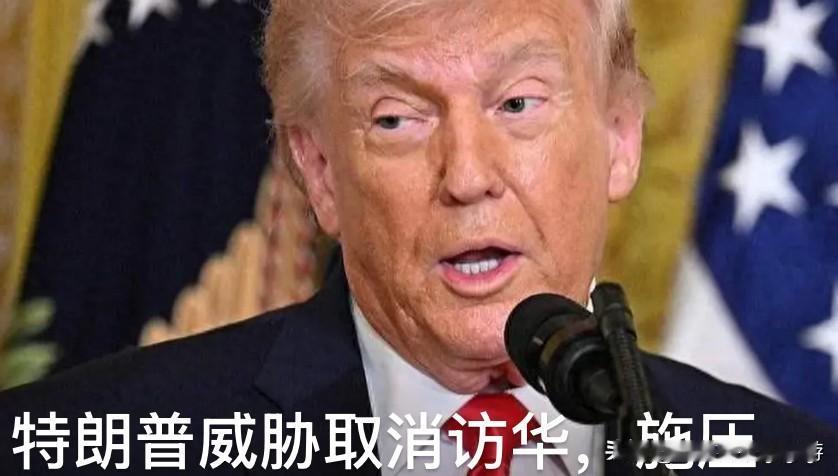 你想来就来呗，好像谁欢迎你似的！

特朗普拿霍尔木兹海峡护航当筹码，威胁推迟访华