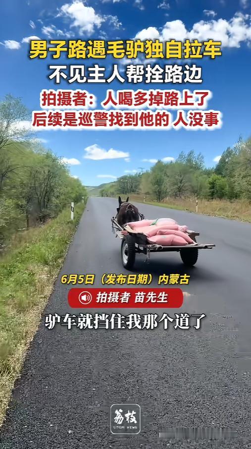 “这得喝了多少？”6月5日报道，内蒙古，一男子在过道上开车，前方一头驴车拦住了去