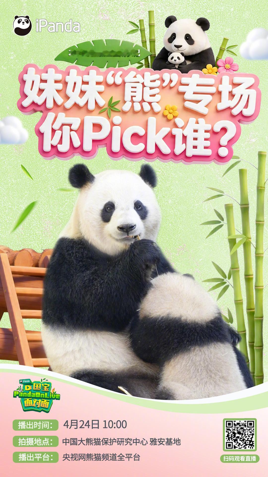 【🐼播出预告：妹妹熊专场你Pick谁？】春意正好，万物萌动～对2025级熊猫宝