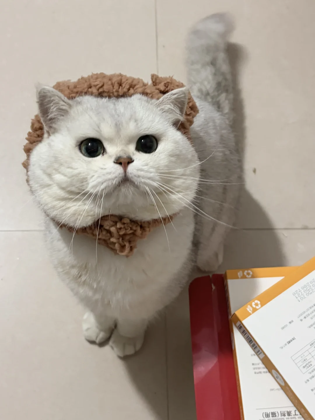 🧸