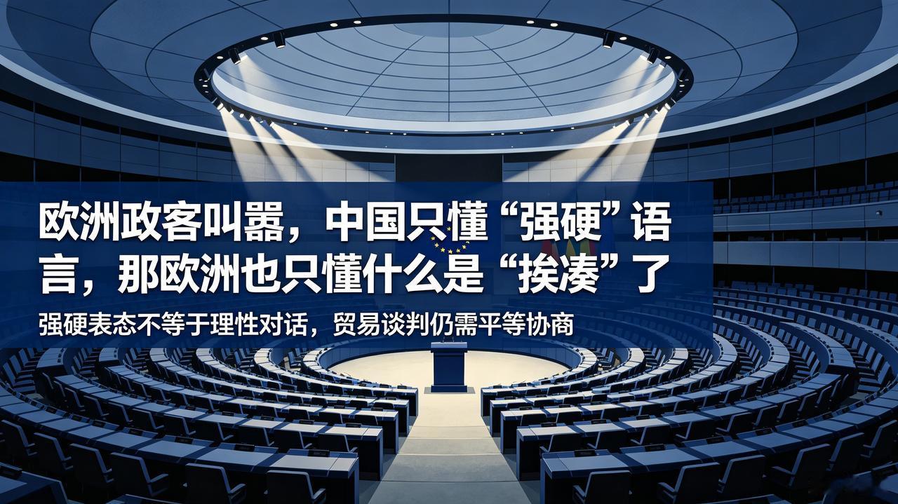 欧洲政客叫嚣，中国只懂“实力语言”，那欧洲也只懂“挨凑语言”

欧洲议会以454