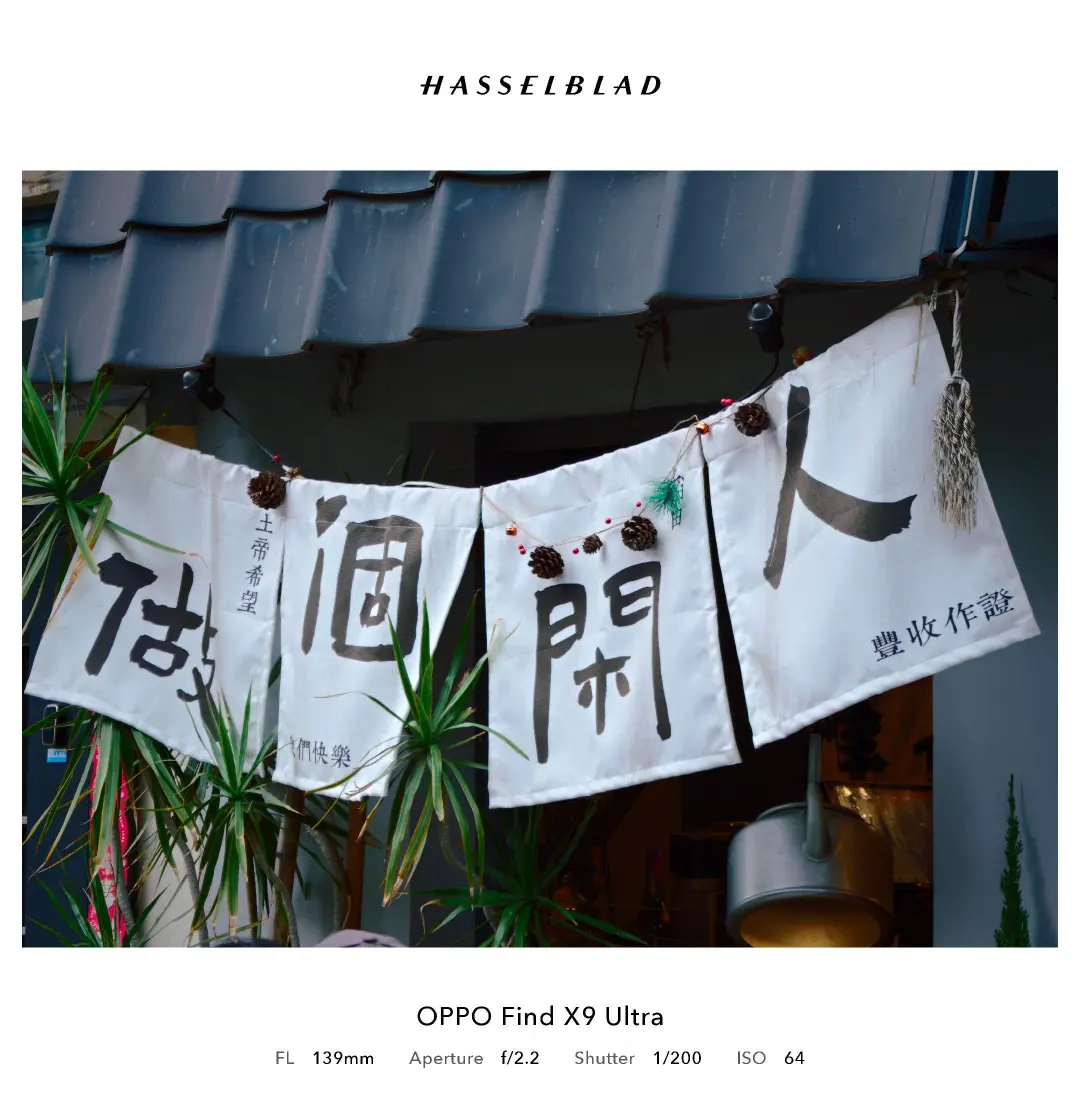 OPPO拍照｜这手机镜头拍的也太美了吧！