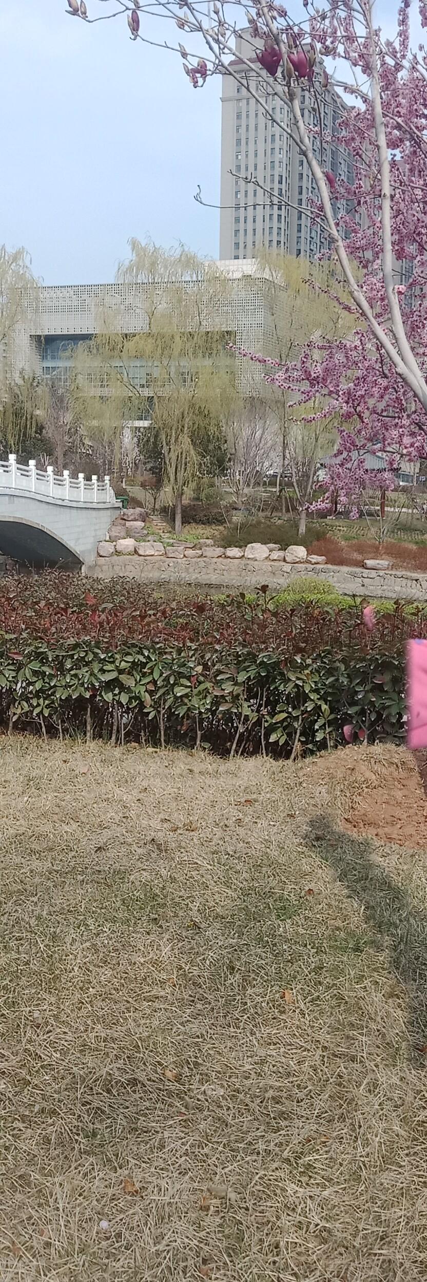 昨天，孩子看到外公抱着三姐的女孩，比她小半年，她问我，外公为啥不抱她？

我说妈