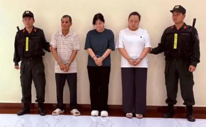 一家三口联手操作，将中国生产的电力设备伪装成加拿大产品，连续三年混入越南电力招标