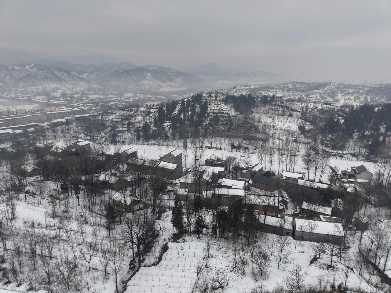 雪，在窗外无声无息飘扬，山野寂静，枝头喜鹊的喳喳声如一枚投进湖面的石子，荡起一圈