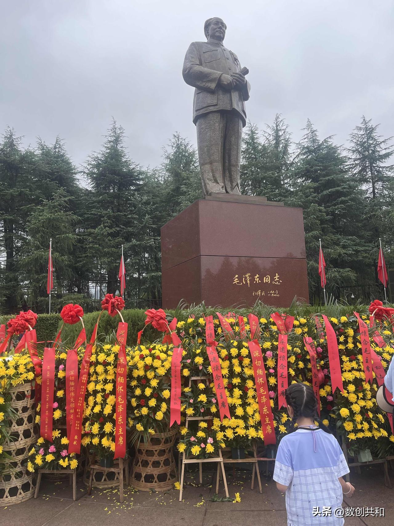 今年冬天的不同