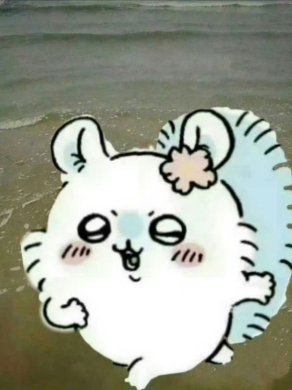 奔向八月🐭（这条回复消息。活力值 