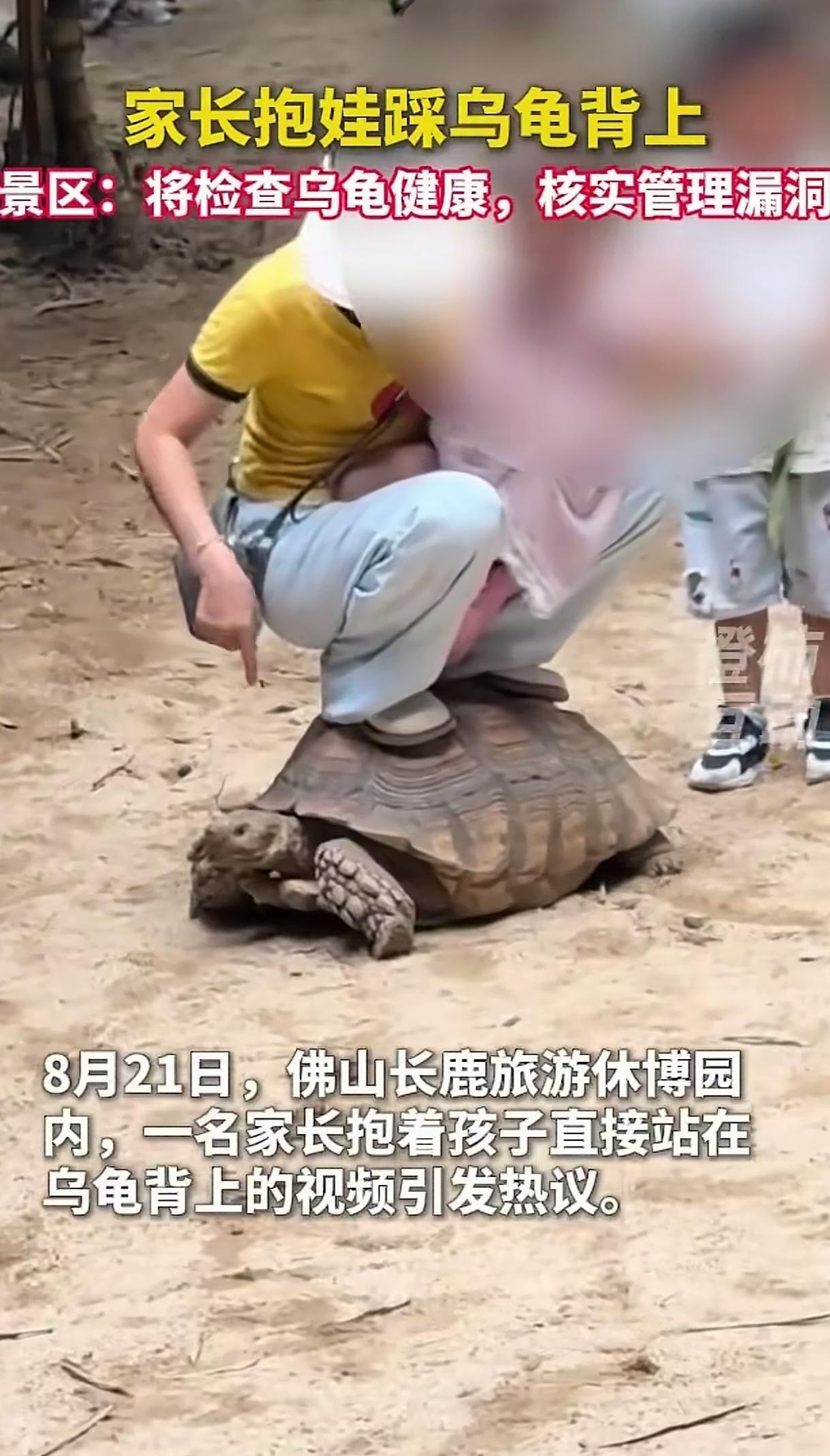 有些人的坏是深入骨髓里，还不知道羞耻。比如这个女的，抱着孩子踩在乌龟背上，完全不