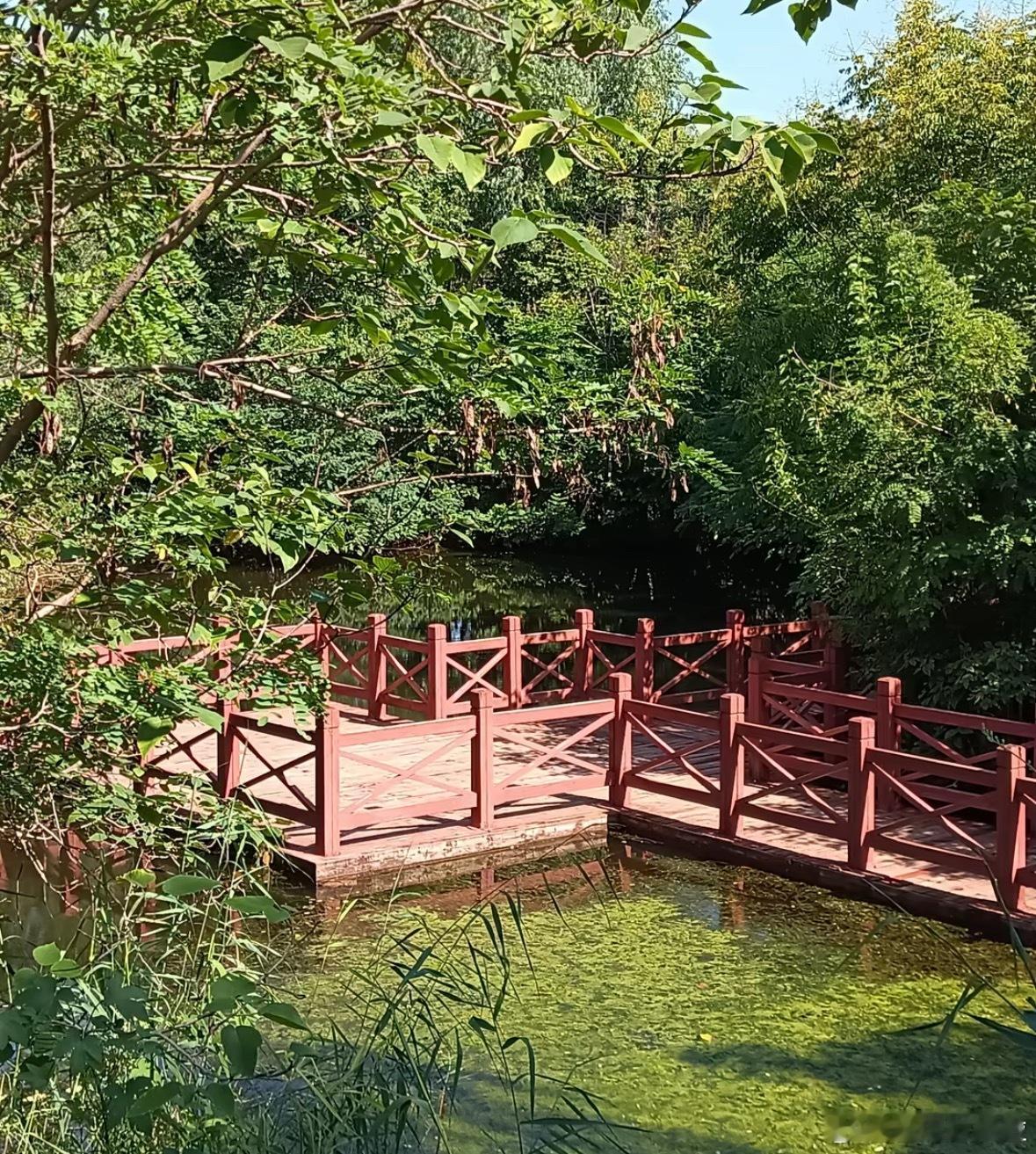 节后A股开门红，科技股再起一波要领涨​美股是最好的参照物。隔夜美股三大指数集体收