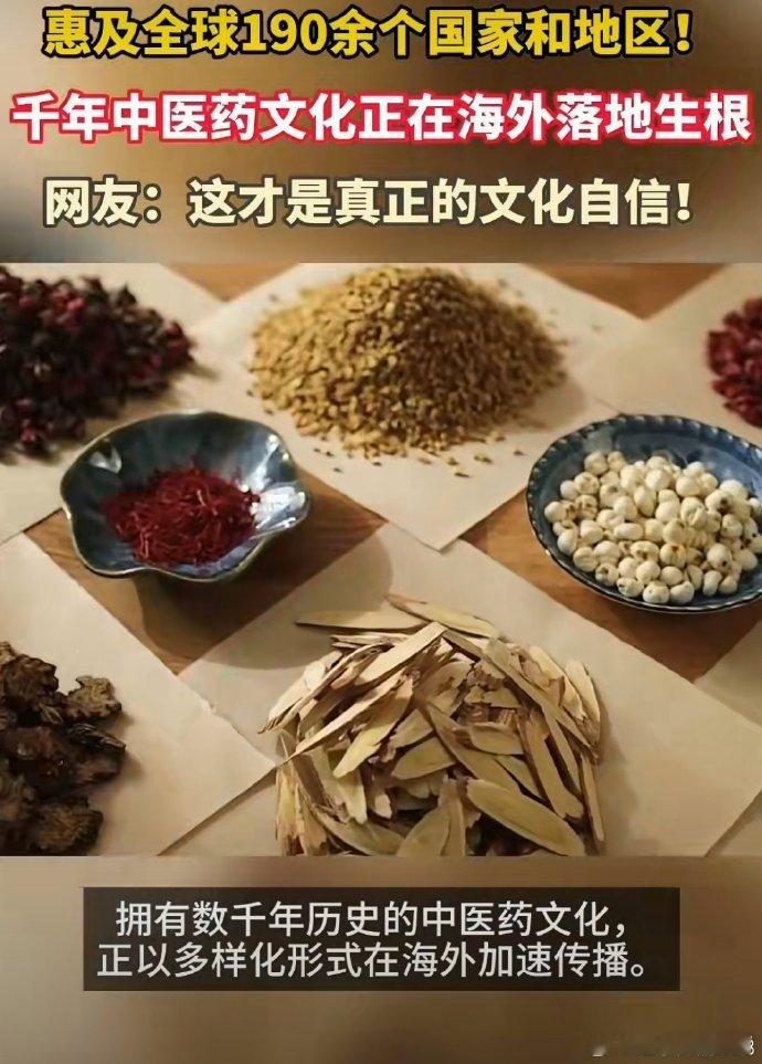 千年中医药文化正在海外落地生根 中医药作为中国的文化瑰宝，正在全球范围内传播。在