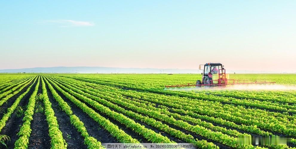 农业是国民经济的基础，是属于第一产业，农业的重要性是显而易见的。我国非常重视三农