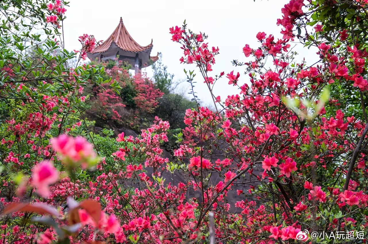 周日突发重磅消息，4月13日看盘重点剖析！周日重磅消息如下：一、据媒体报道，4月