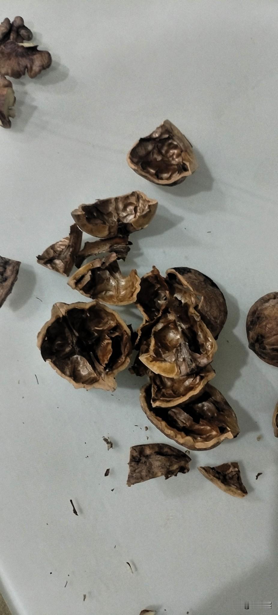 还是自己家种的核桃好吃

五一回老家，母亲还给我留着核桃，不得不说核桃真好吃。