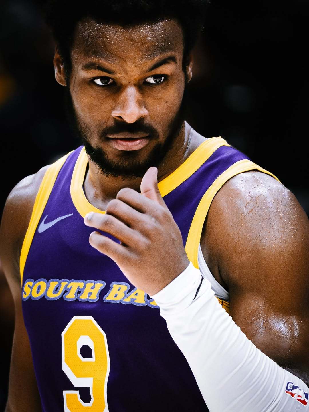 布朗尼&克内克特湖人国度洛杉矶湖人