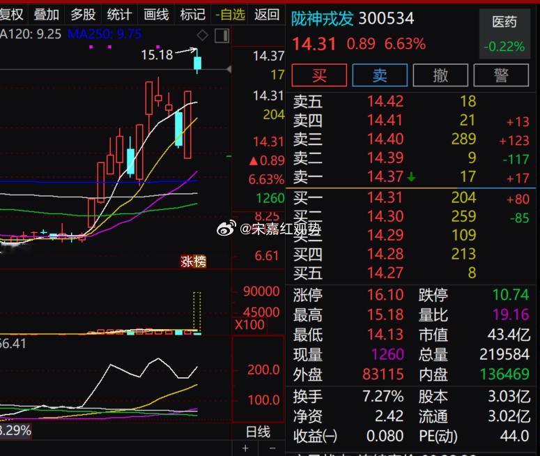 $陇神戎发 sz300534$早盘走势偏强，现价 14.31 元，涨幅 6.63