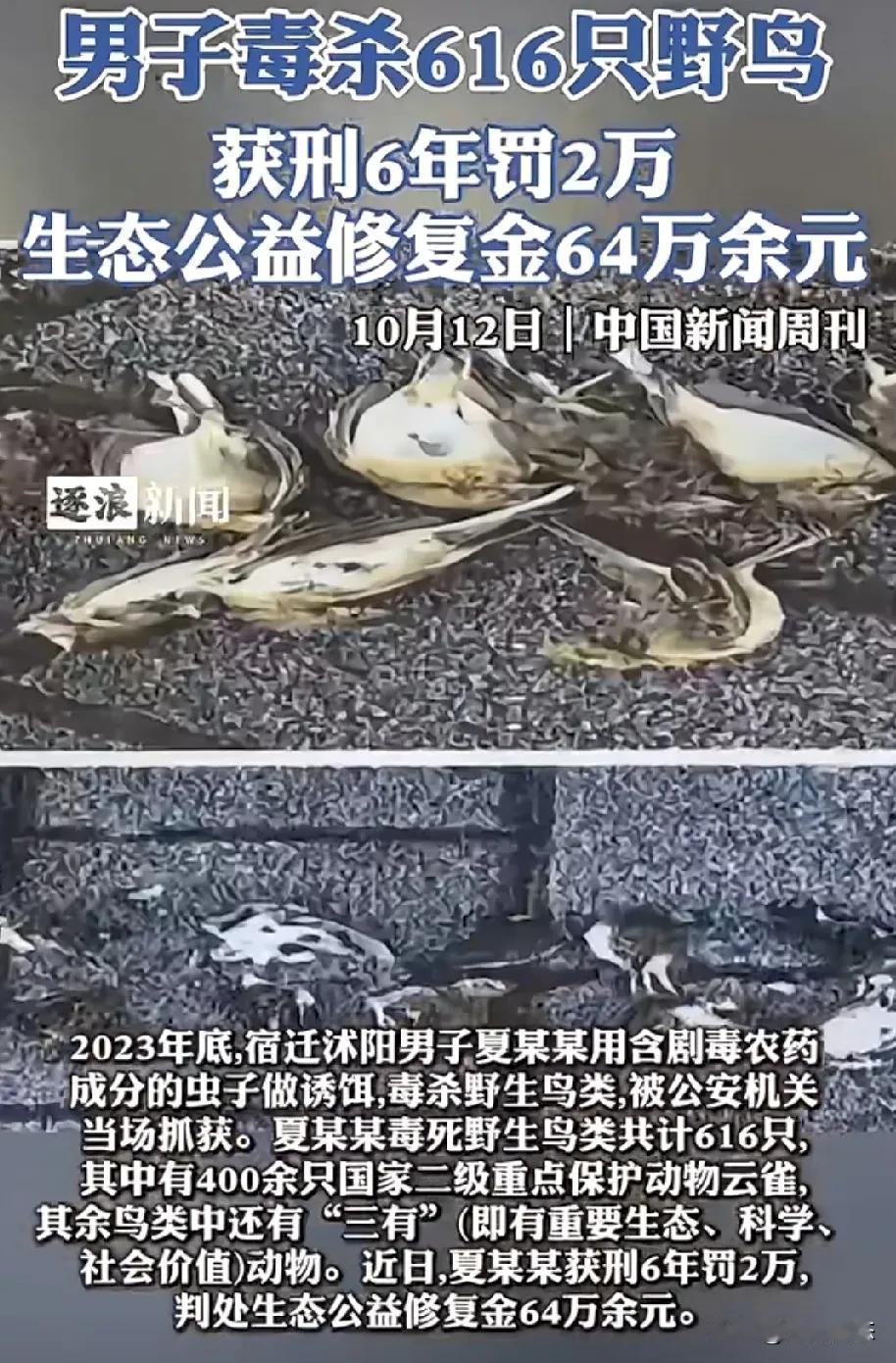 10月12号新闻周刊发布一件事情，
起因是去年年底，江苏省宿迁市沭阳县的一名男子