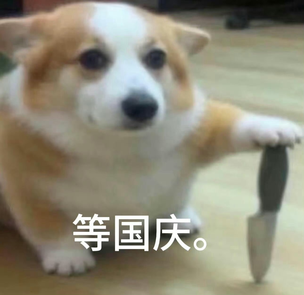 PeRodoudou[超话] 老板玩啥俺们管不了，每个月老板kpi都2倍甚至3倍