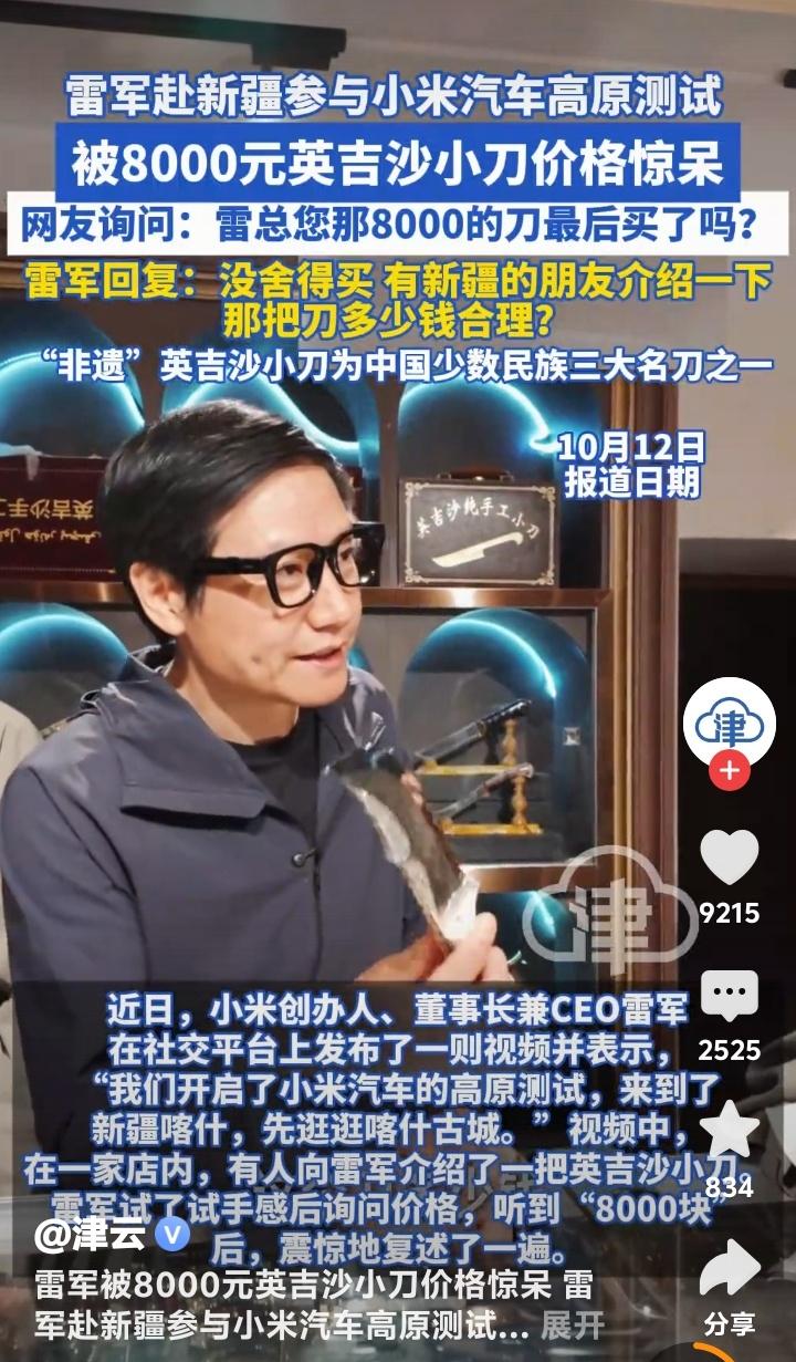 雷军新疆行被8000元英吉沙小刀惊呆！网友炸锅追问买没买，非遗名刀背后藏着这些不