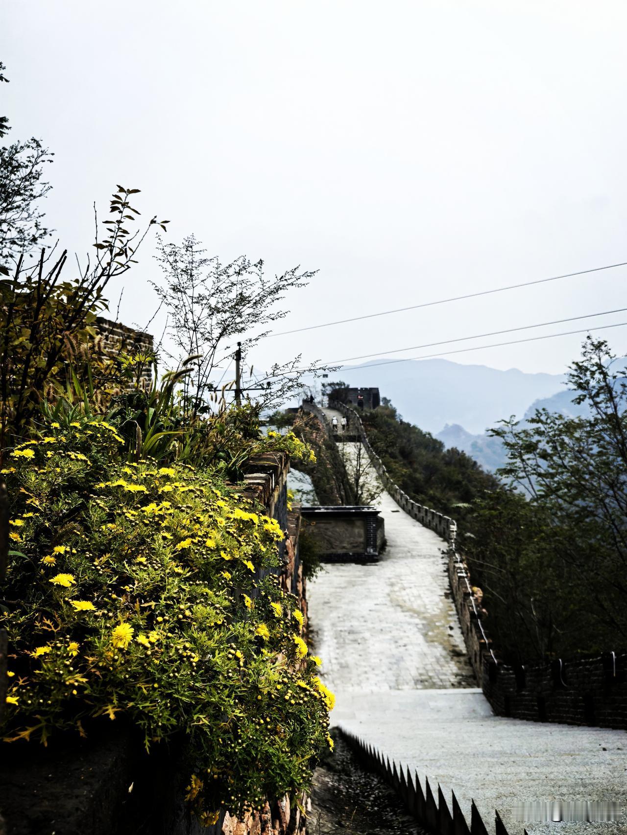 九龙峡景区的下龙门所在的邢台浆水镇，古称“夷仪城”。
春秋时期，狄人犯邢，邢侯不