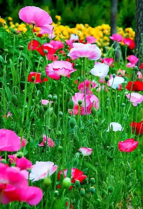 两性关系，赤裸裸的真相:​​
男人爱不爱你，不是听他甜言蜜语，而看他愿不愿意娶你