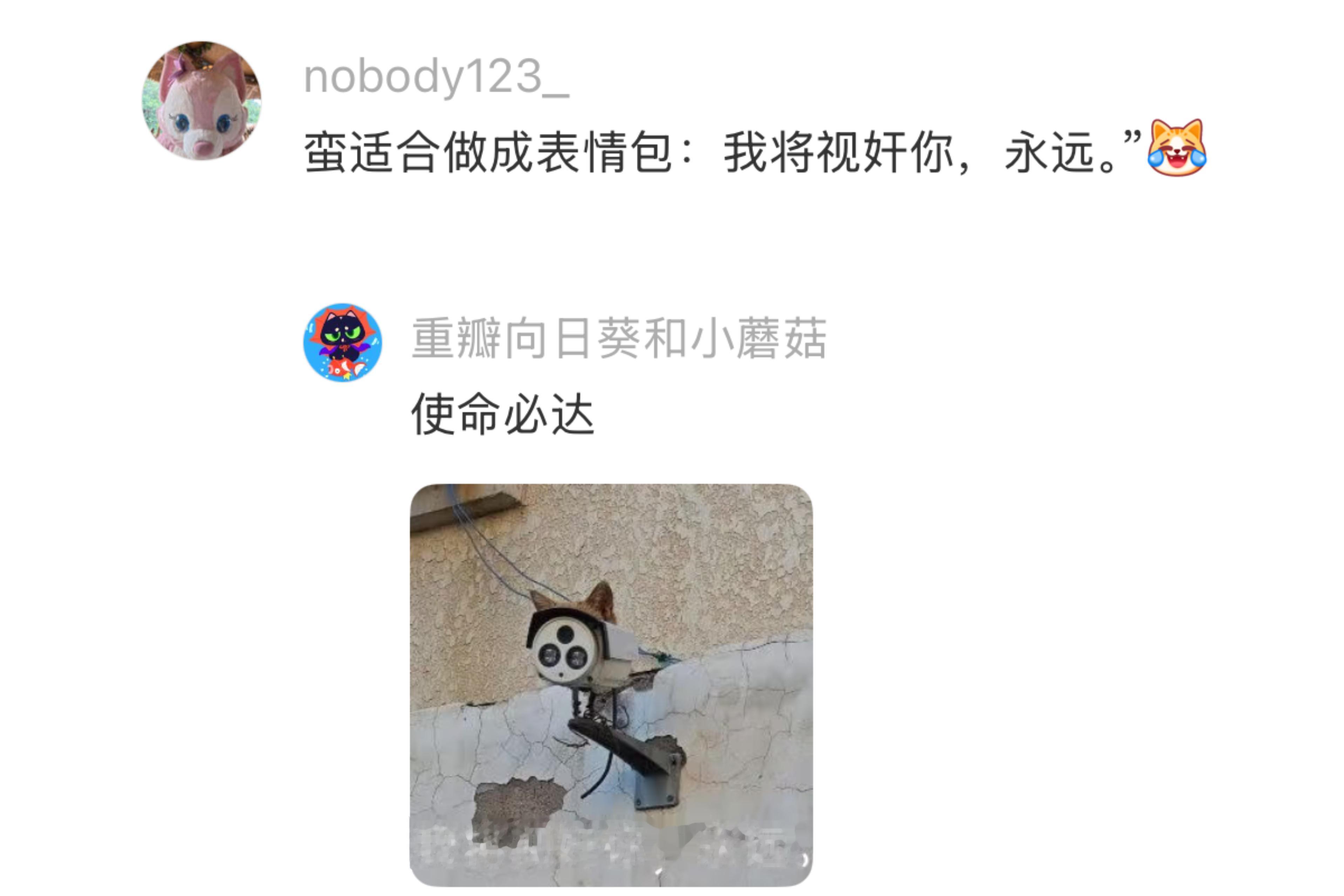 监控怎么长妙脆角了