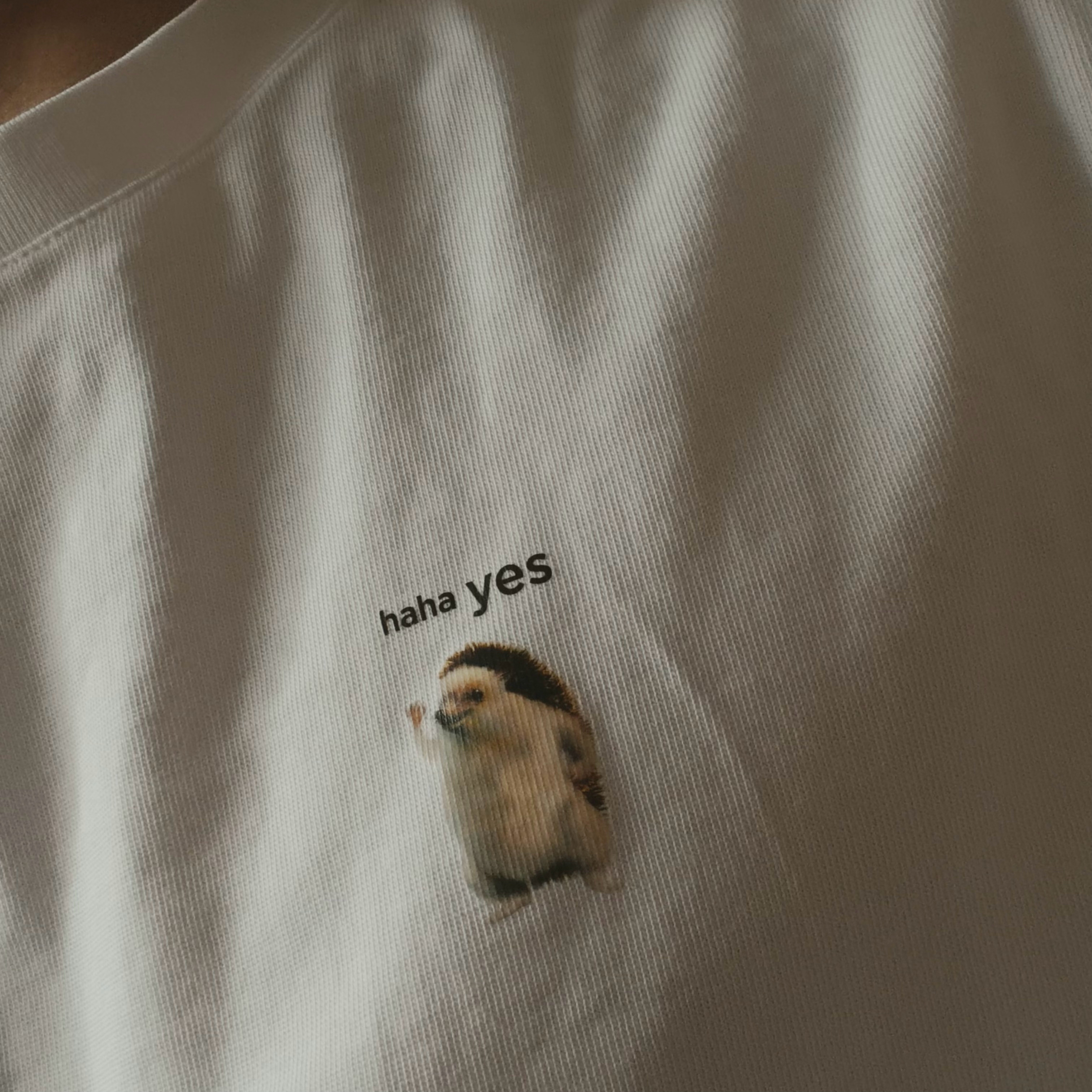 最喜欢的一件 T恤haha Yes！！！应该没多少人知道这个梗特斯拉