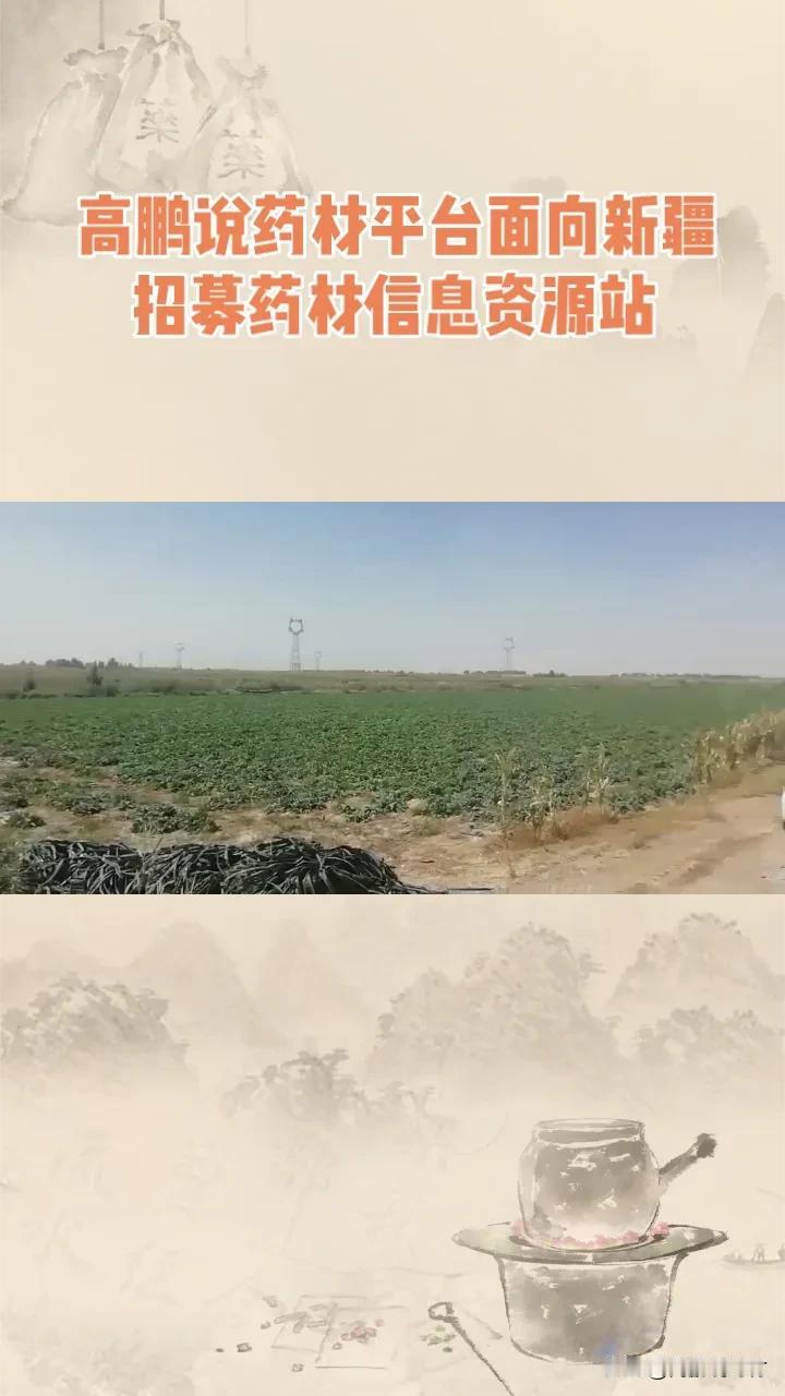 “高鹏说药材”中药产业平台招募新疆信息资源站，助力药材产业升级

 “高鹏说药材